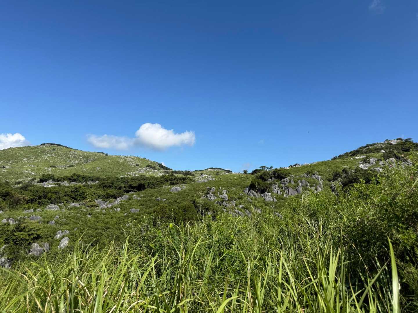 中峠-四方台 周回コースの写真