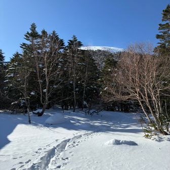 やっぱりトップは爆風っぽい