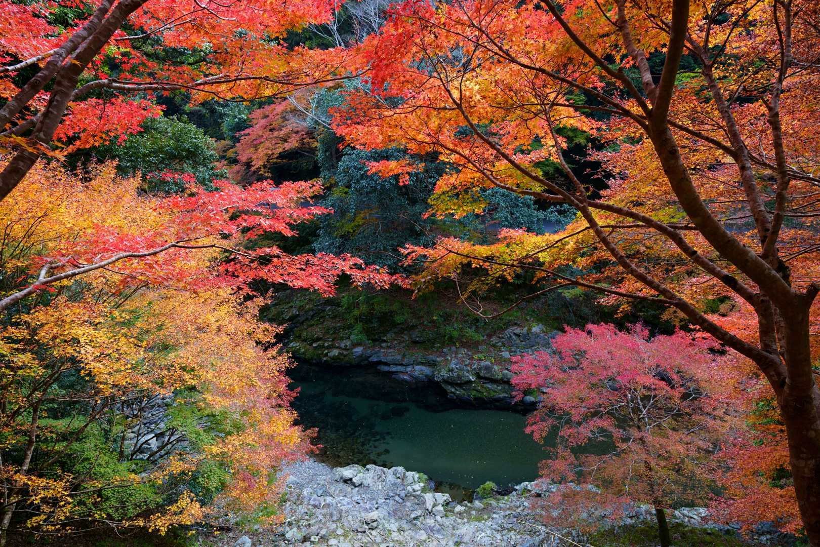 鷹峯源光庵前バス停-上ノ水峠-仏栗峠-槙ノ尾バス停-清滝バ 縦走コースの写真