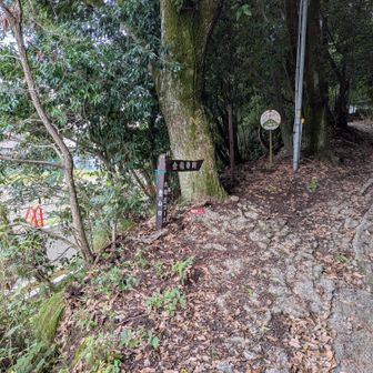 ここから太閤道登山口🏃💨