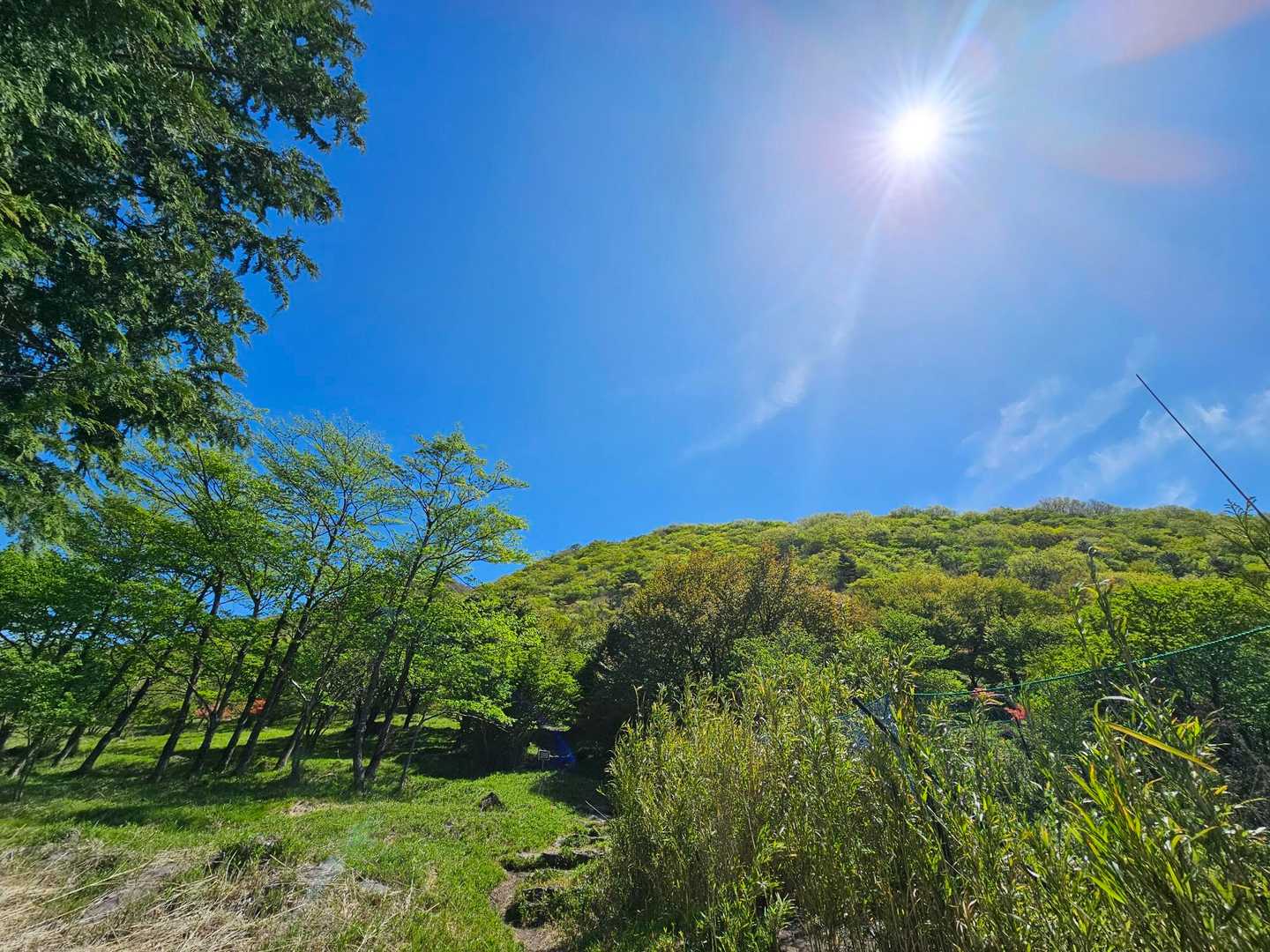天気良いけど風強い🍃
