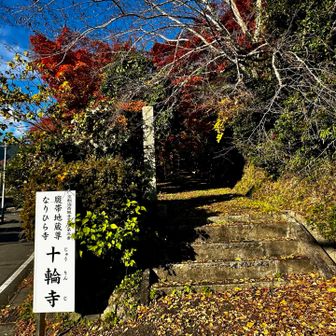 体力温存で今回も通過したが、
いつかは参拝したいお寺