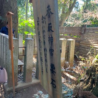 強い意志がなければ念願は叶わないってことか！
石柱の間から見えるかな？普通の石🪨だけど要石