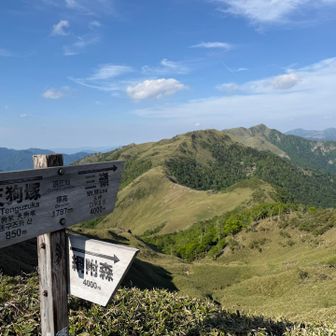 夕方にかけては東方面を写した方が
太陽光の関係で綺麗