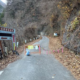 でもまた来るよ！