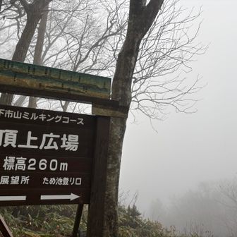 山頂到着‼️
