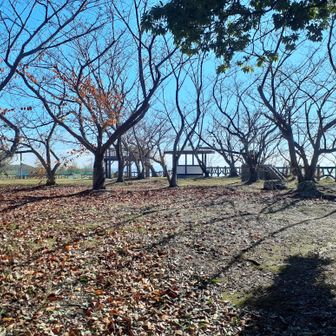 木庭山
天気も良く持参の椅子に座って海を眺めている方もいました
広いです