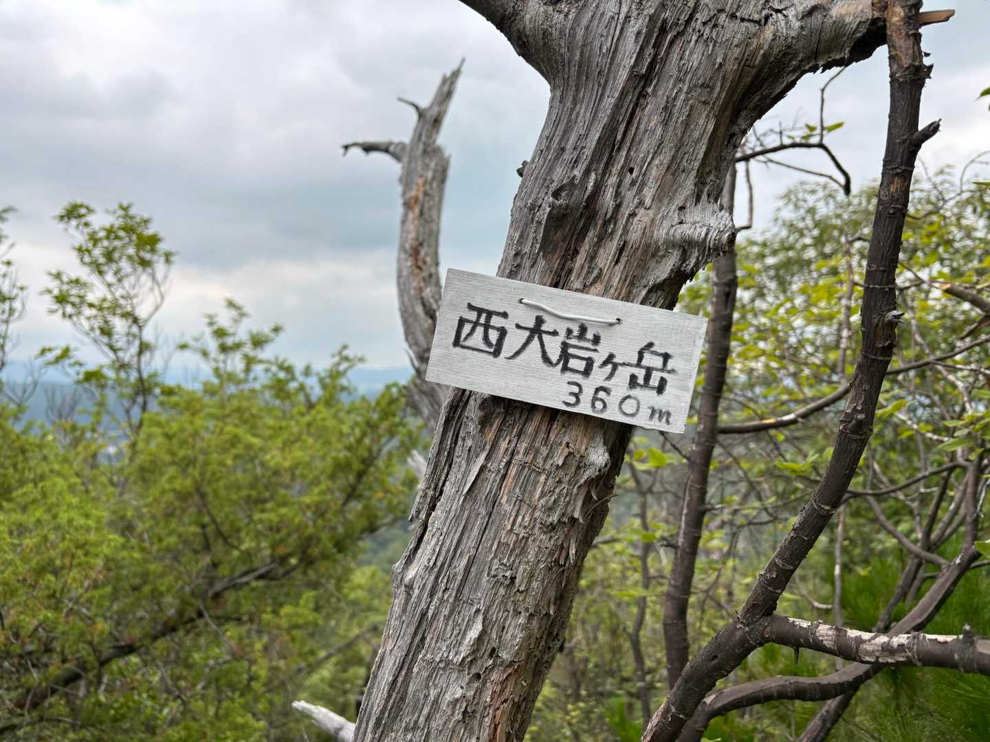 大岩ヶ岳登山口-大岩岳 縦走コースの写真