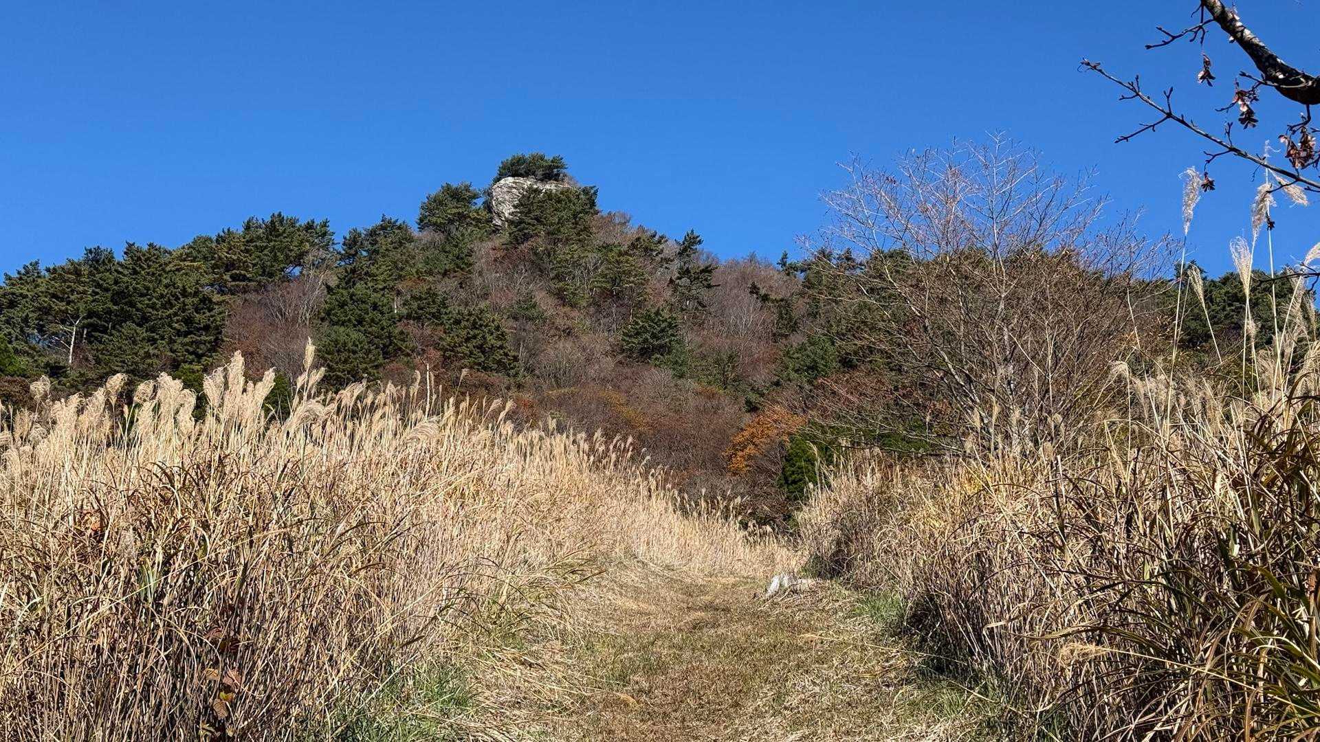 登山口から見えるあの岩が越敷岳山頂！