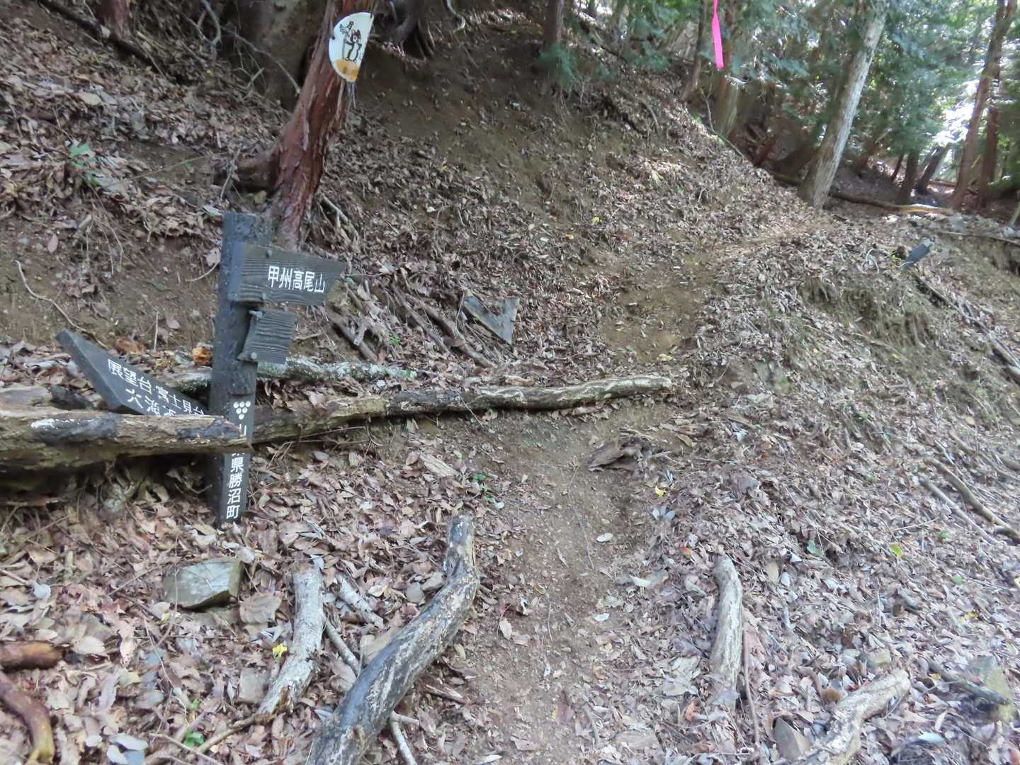 林道から甲州高尾山に向う登山道に入ります。この入り口が目立たなくてウッカリ通過しそうになりました😅