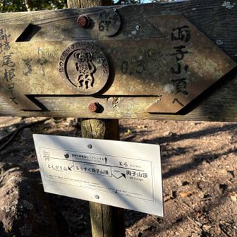 とんがり山はまた今度✋