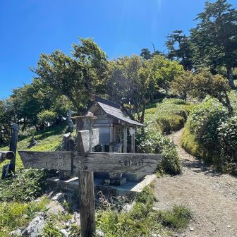 山頂からいったん下山しこちらの分岐点へ。ここからキレンゲショウマの花畑に向かいます。