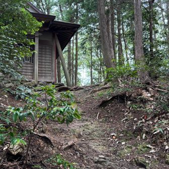あの建物見えたら