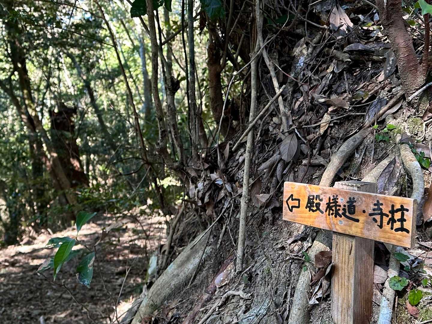 気になる殿様道がありますが、今日は行きません