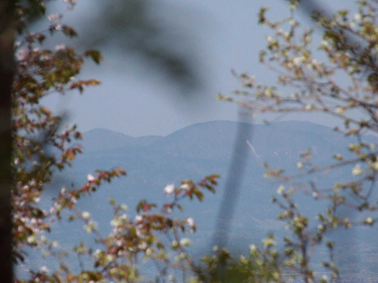 どちらの山頂も眺望ほぼなし！
かろうじて🫤