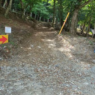 三嶺の登山口です。
朝はいなかったが帰って来た時にはアブがいっぱい。直ぐに集られます😵