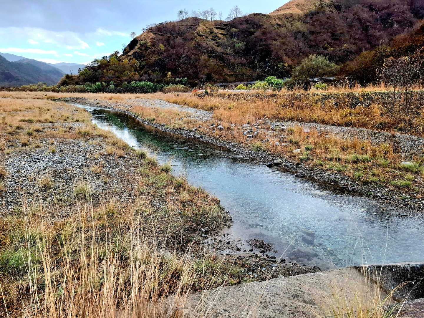 公園入口バス停-中倉山登山口-中倉山 往復コースの写真