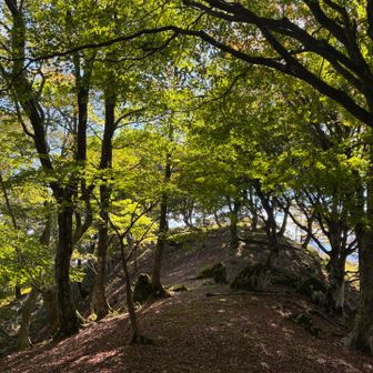 再び高室山へ