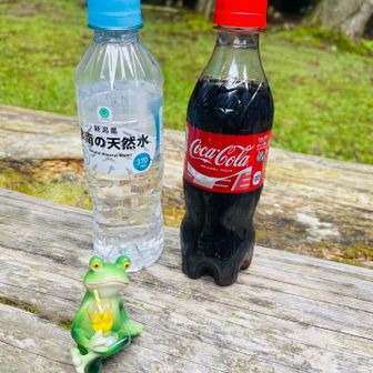 水分摂取が苦手で、朝持って来た370mlの水
まだ半分も飲めてないけど、せっかくなので寄付も含めてコーラを購入🍹
きっとコーラは別腹！