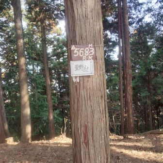 初萓野山〜
特に景色が〜とかはないので撤収〜