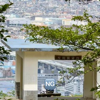 
しばらく 巫女さん研修を見学し
そっと離れて 枚岡展望台へ💨

休憩してる方を
勝手にモデルに…と📸ﾊﾟﾁﾘ
この後 何やら向こうへポイっ😲⁉️
