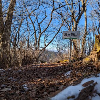 烏ヶ原山山頂🐦‍⬛