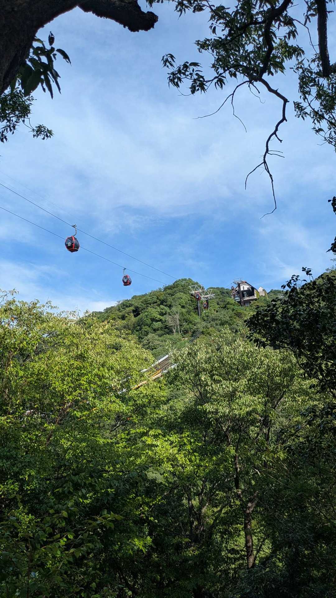 ハーブ園に行けるロープウェイの下を歩きます