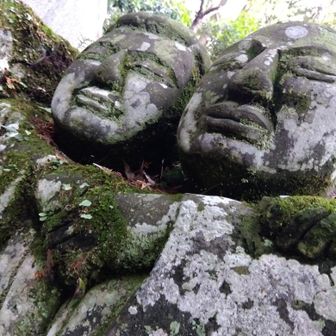
N◯K のど自慢。


豊田 きよいち 80歳
豊田 すえ 79歳


富山から嫁いだ すえさんですが、ここ静岡県浜松市で きよいちさんと出会い60年という結婚生活を過ごされたようです。


2年前から きよいちさんの痴呆が進行し始めたようですが、ラブラブぶりは御健在のようですね。


そんなラブラブぶりで日本中を元気にしたい。
そんな情熱を持ってのエントリーです。


では、お二人に歌っていただきましょう。


曲は「パルプンテは突然に」
