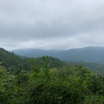 一日中曇ってた