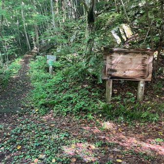 まっすぐ進むと犬戻し峡に行けますが、現在は通行止め。