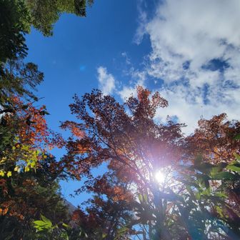 早池峰も良い🍁ですよ