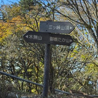 この三山のことを三ツ峠というのだと🏔️⛰️⛰️