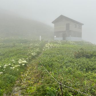 歩きやすい様に登山道必要最小限広げました❣️