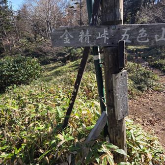まぁ迷いませ……
