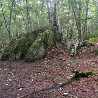 大きな岩が出てきました。