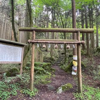 愛鷹登山口（松永塚）⛩️
黒岳，越前岳に行ける山道ですが今日は
ご挨拶だけで🙏