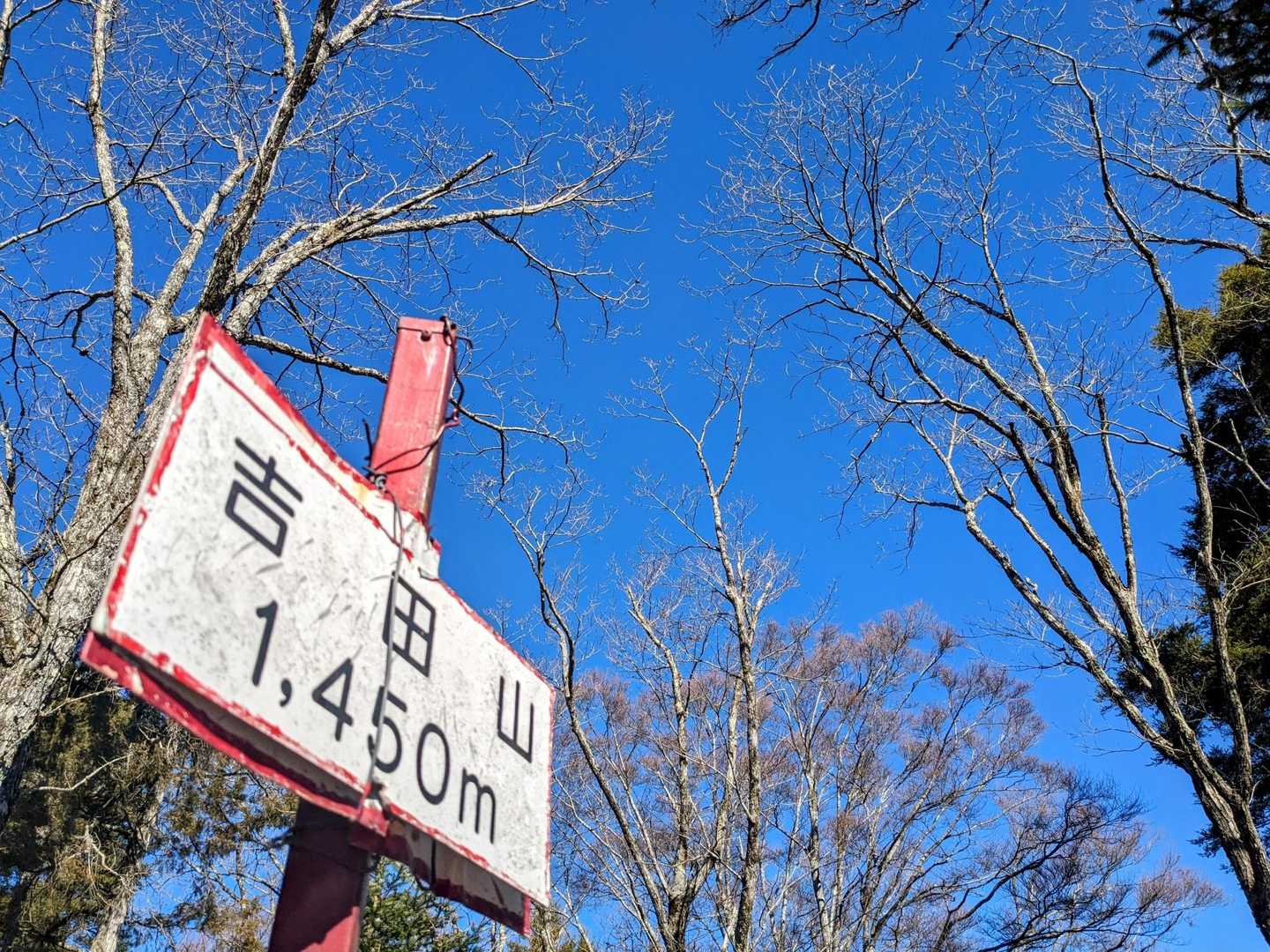 いい空だ