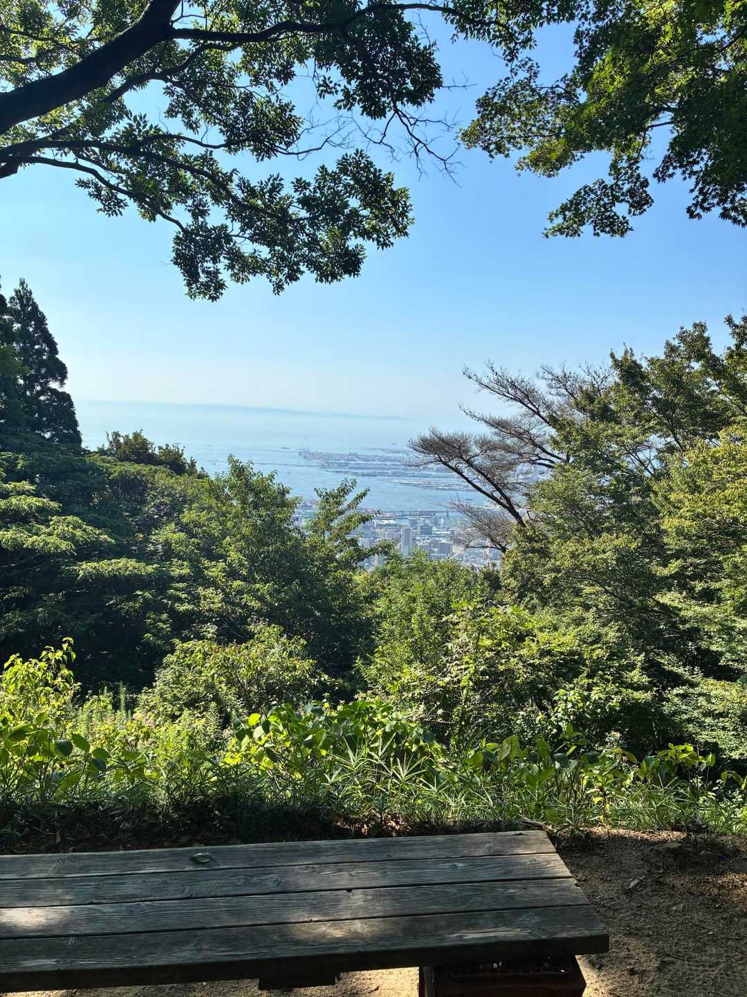 展望台。月曜日、みんな仕事頑張れー🤭