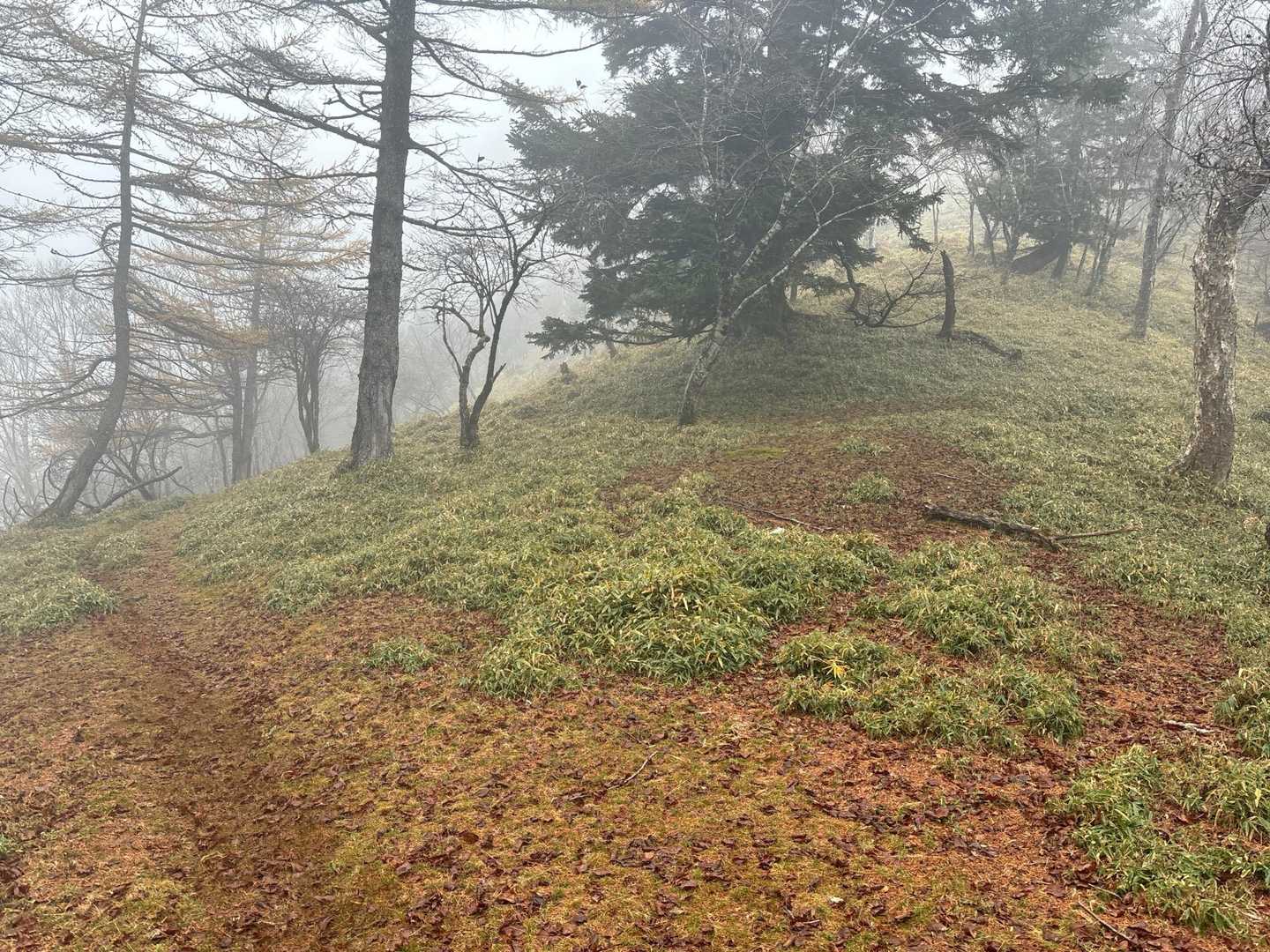 またひっそりと将監小屋まで戻ります

大常木山、竜喰山は右の尾根沿いに歩けば通過できるはずですが、来た道を戻る事にしました。

朝来る時、青梅街道に大常木トンネルってあったな。