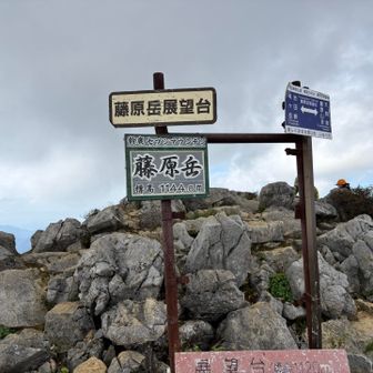 藤原岳山頂到着！風があってひんやりです