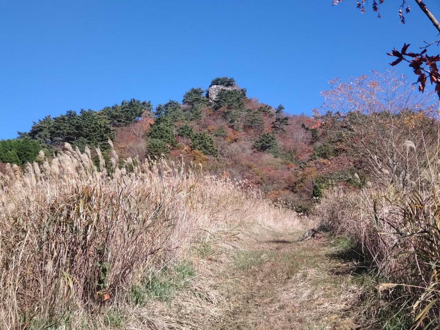 すでに見えてる越敷岳山頂