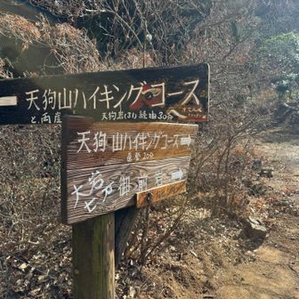 直登コースは右へ