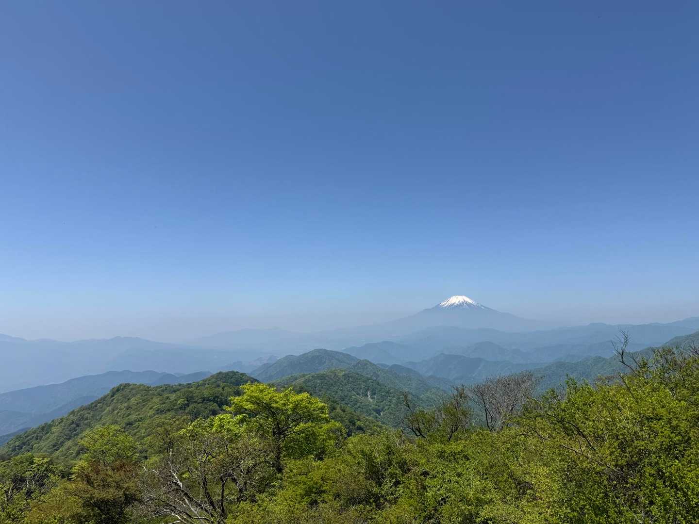 大倉バス停-観音茶屋-堀山-花立ノ頭-塔ノ岳-日高-竜ヶ馬 往復コースの写真