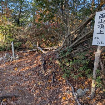 西山頂上