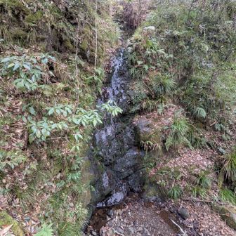 赤沢富士の登山口を過ぎると藤倉の滝があります🌲小さな滝です😊