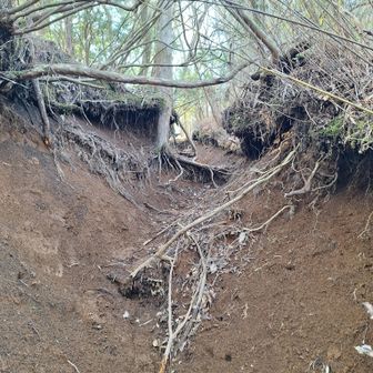 富士見峠から先は荒れたルートでもあります