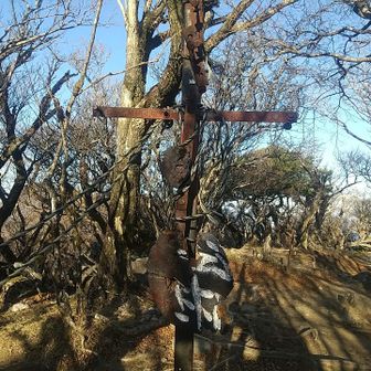 お団子標識はボロボロ⤵️残念