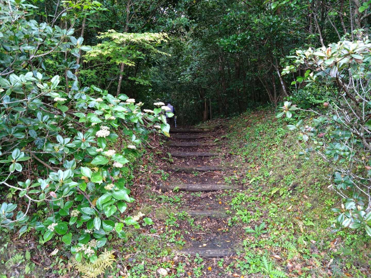 今回はこちらから🚶🚶🚶💨