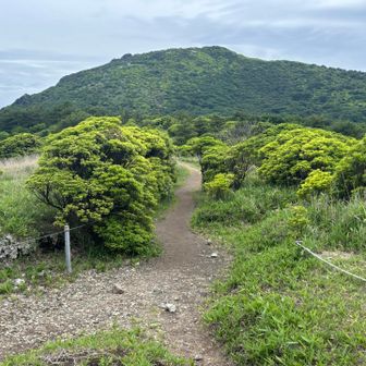 さて、牧ノ戸までてくてく歩き、黒岩山へ
一昨年の7月、雷豪雨にやらられて山頂目前で撤退した因縁の山
待ってろよ〜