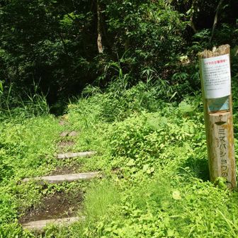 5月に🧸熊目撃されてます😱